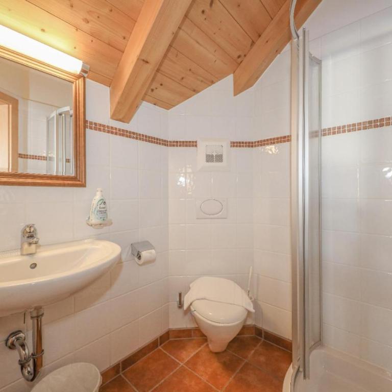 Appartementhaus Chalet Alpina - Apartamento de 2 dormitorios con ducha - 28