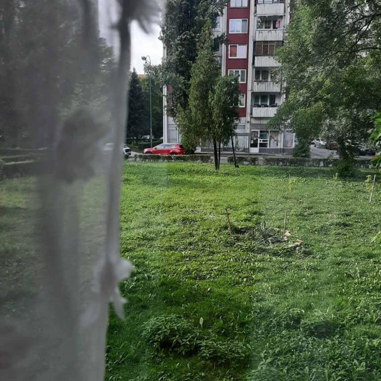 Apartman Megi - Apartman sa 1 Spavaćom Sobom - 10