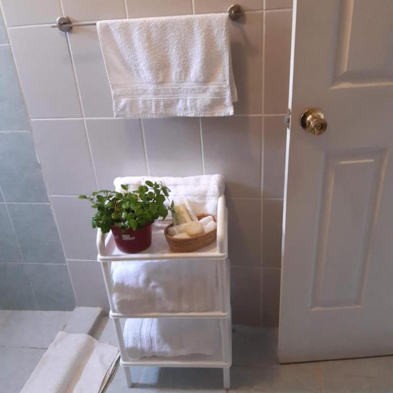 Nice & Cozy Apartment in Guanajuato - free parking - Apartment - 14