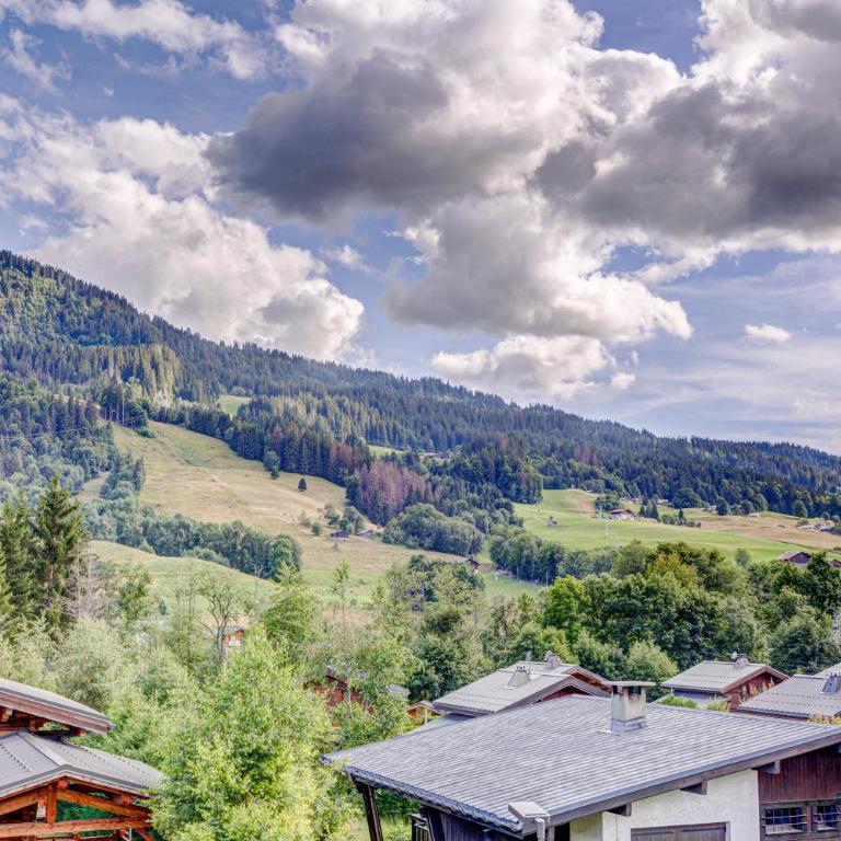 La Tanière du Grizzly - Appt à Praz-sur-Arly - Appartement 2 Chambres - 11