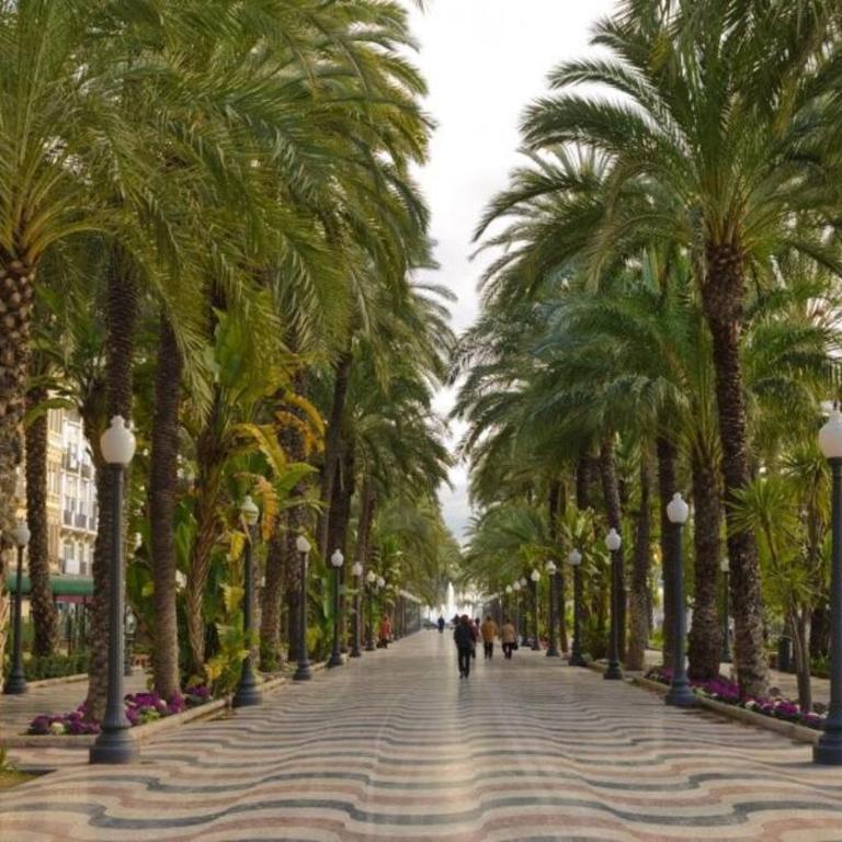 Apartamento Centro Rambla Alicante A - Apartment - 27