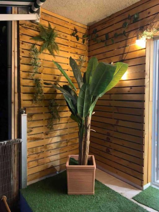 Apartamentos JL&DN Primera Línea Playa Silgar Sanxenxo - Appartement 1 Chambre - 14