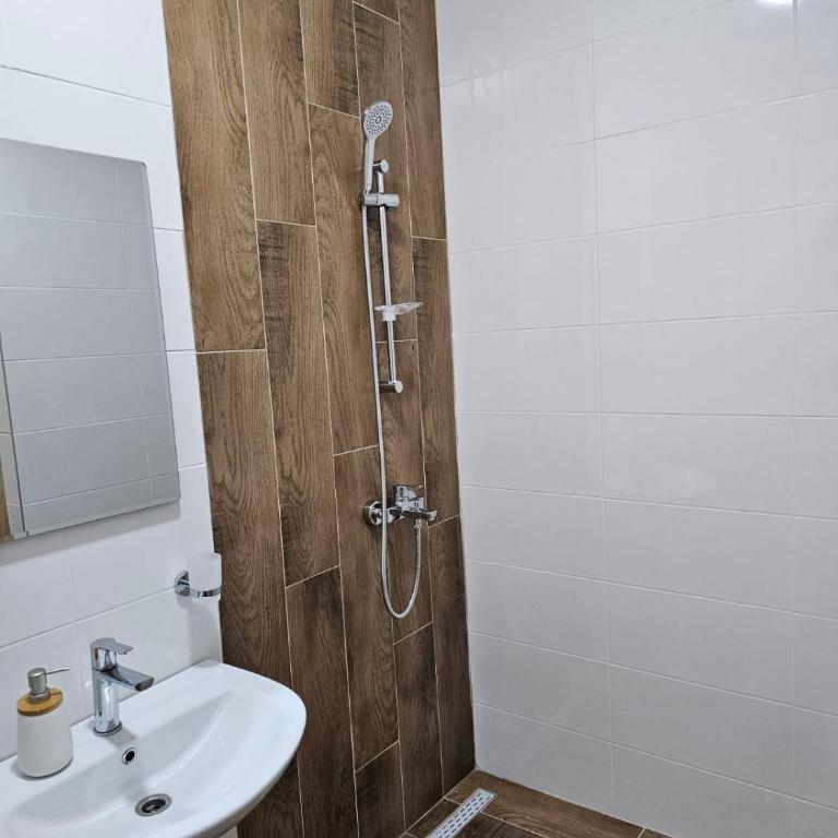 Pine Kolasin - Apartman sa 1 Spavaćom Sobom - 9