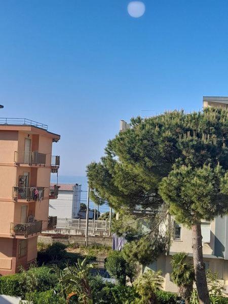 Hotel Rosalia - Camera Matrimoniale Budget - 2
