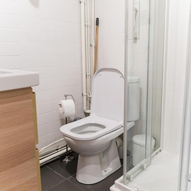 Cozy and Elegant Studio Bellecombe District Lyon 6th - Appartement - 15