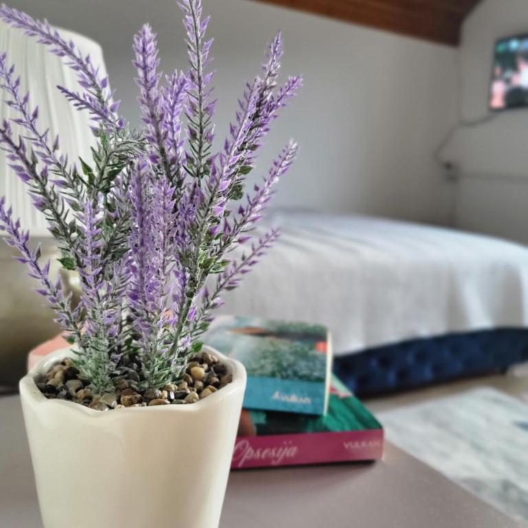 STD Gavrilović - Apartman - 16