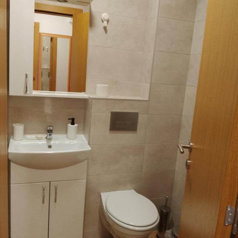 Vesna M - Apartman sa 1 Spavaćom Sobom - 15