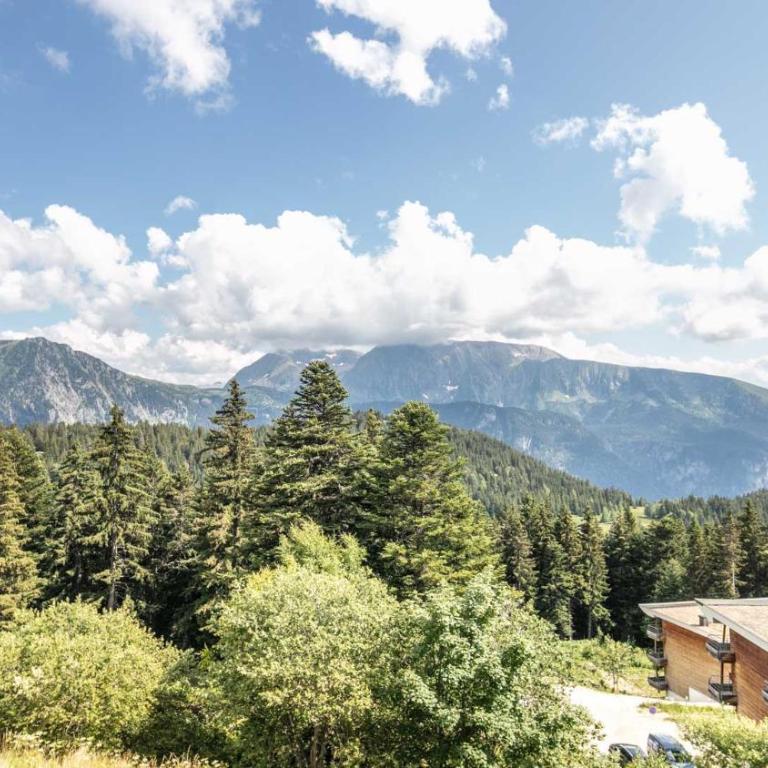 V du Bachat- MELEZES A31- 4P - Appartement - 11