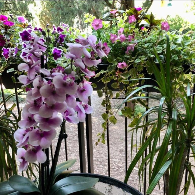 Villa Alba Residence Garda Lake - Appartamento Monolocale - 14