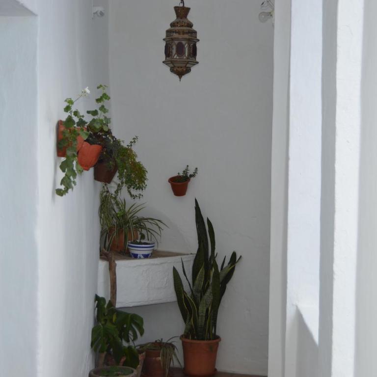 Nuestra casa en Vejer - Apartamento de 2 dormitorios - 24