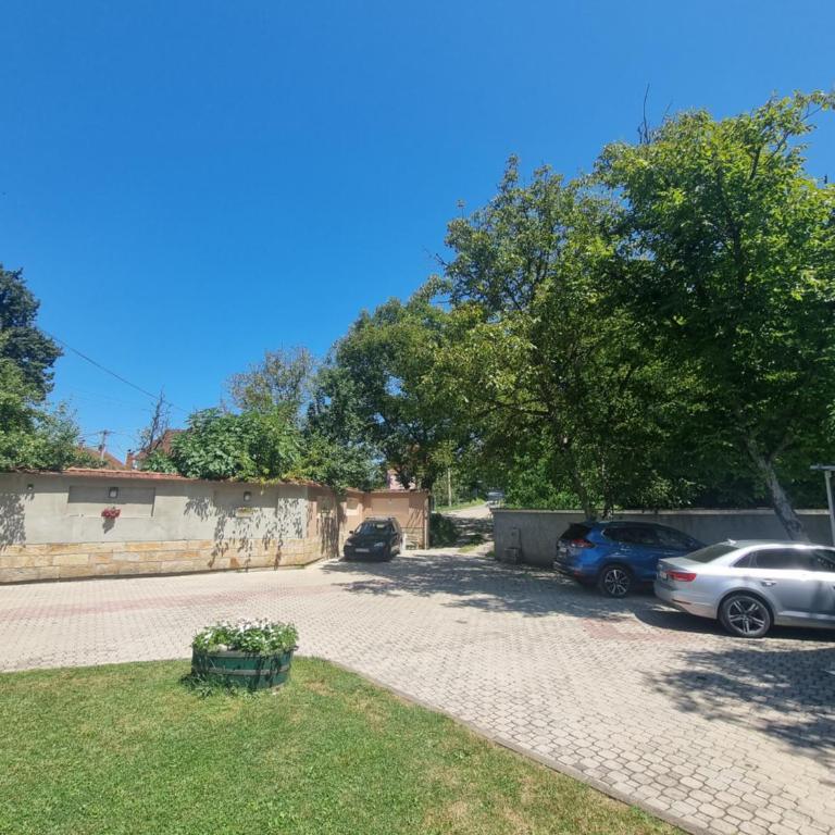 Vila Katarina - Studio s King-sajz Krevetom i Sofom na Izvlačenje - 25