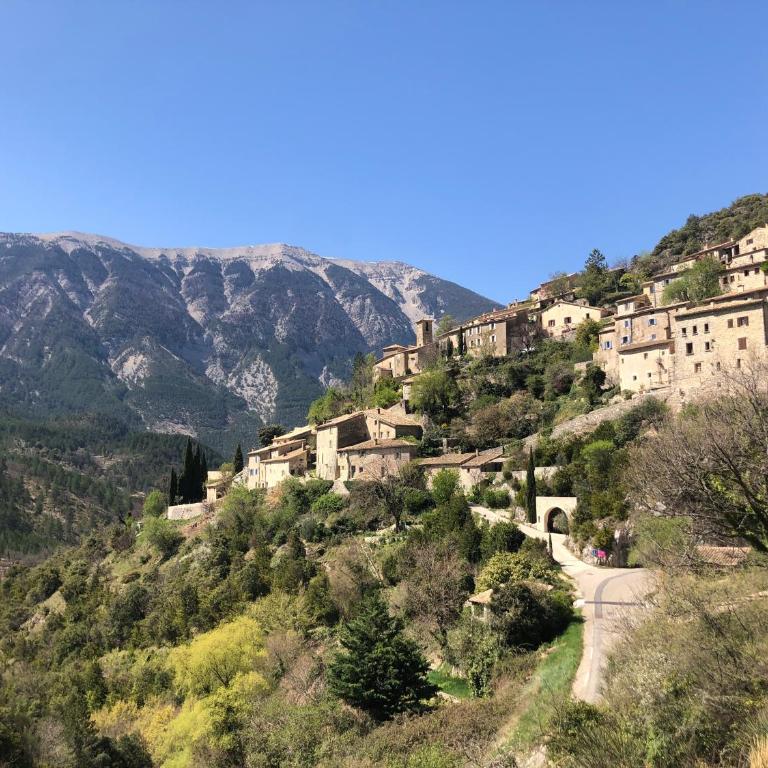Vie Ventoux - Studio - Studio Deluxe - 15
