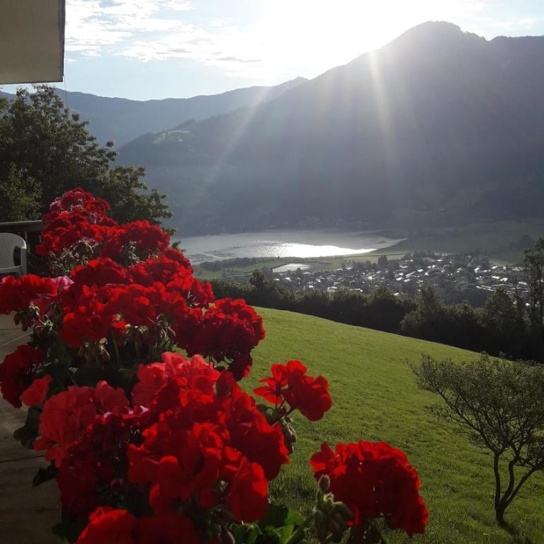 Areithof - Apartment mit 1 Schlafzimmer und Balkon - 76