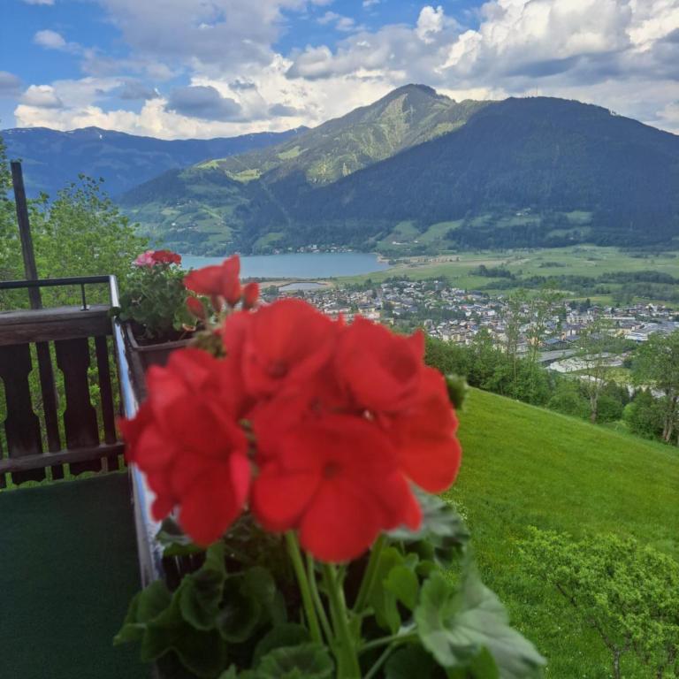 Areithof - Apartment mit 1 Schlafzimmer und Balkon - 81