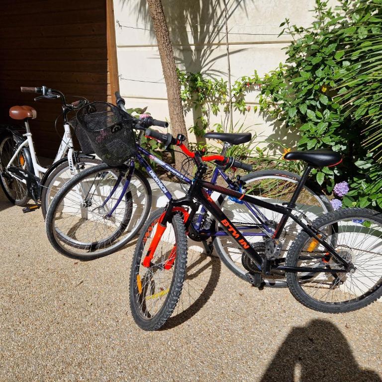 Appartement Spacieux avec Parking proche MER - Appartement 1 Chambre - 18