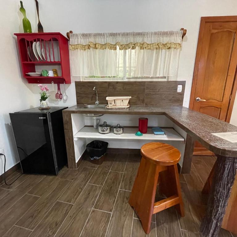 Darwin's temple - Apartamento de 1 dormitorio - 5