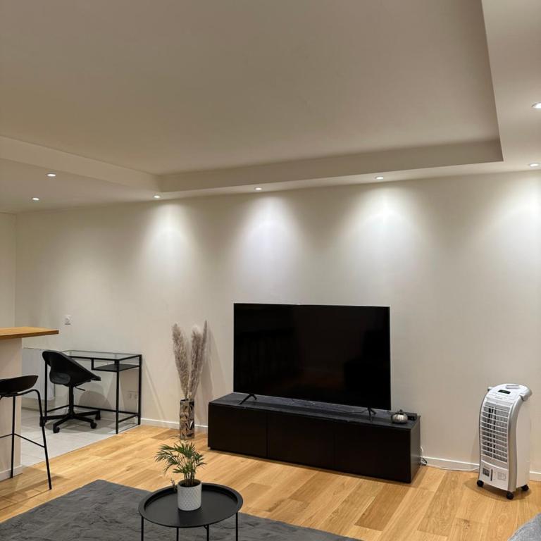 Super appartement refait à neuf beaucoup de charme - Appartamento con 1 Camera da Letto - 28