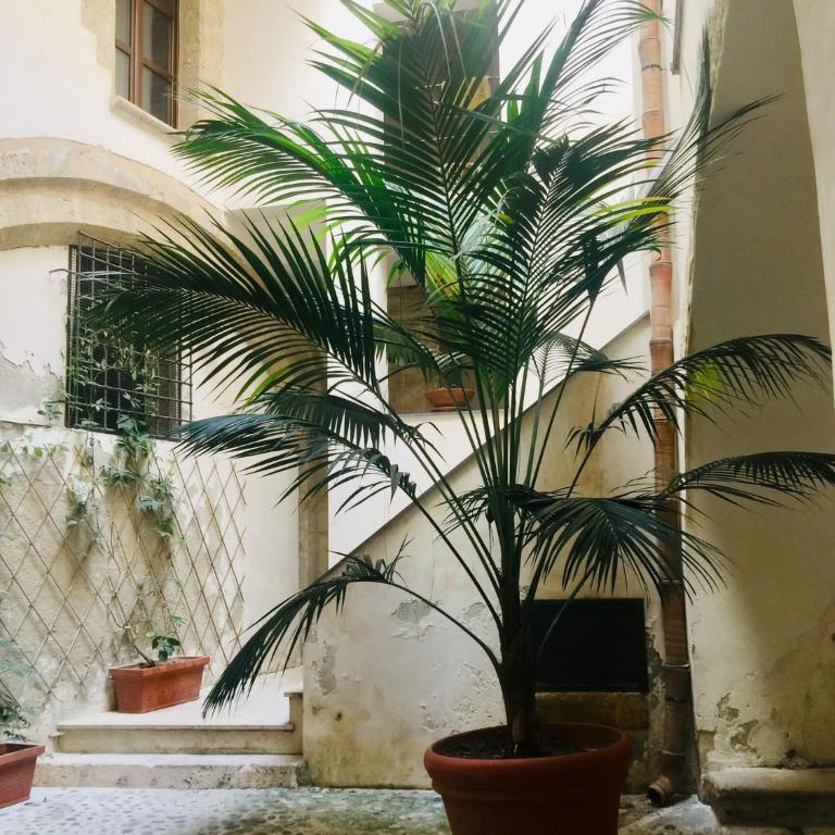 Terrazza Rosa Bianca - Appartamento con 1 Camera da Letto - 18