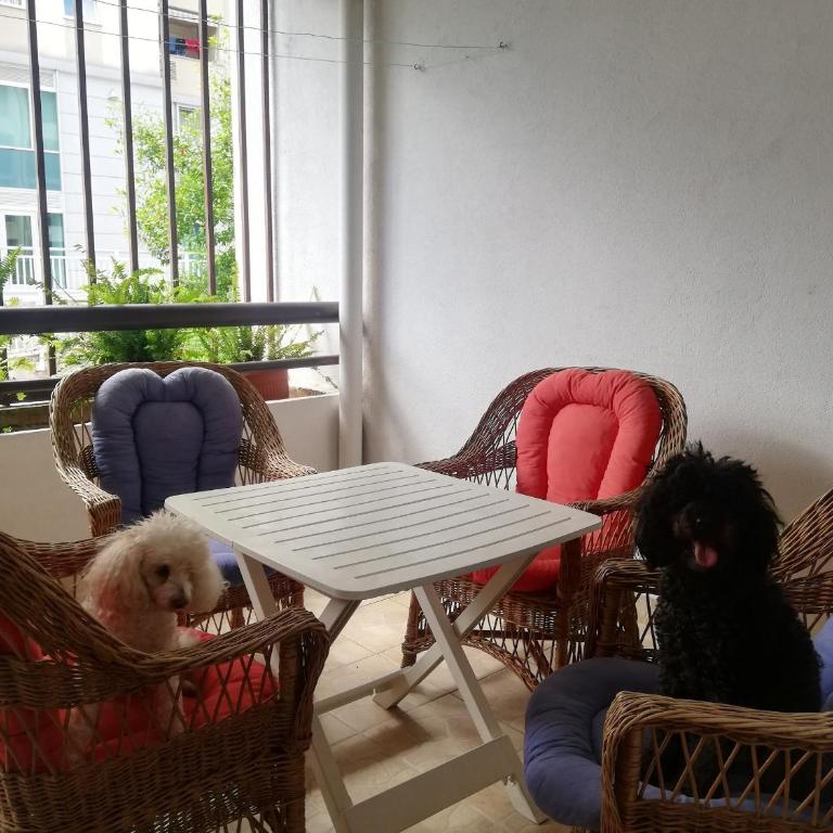 Apartment Centropolis - One-Bedroom Apartment - 17