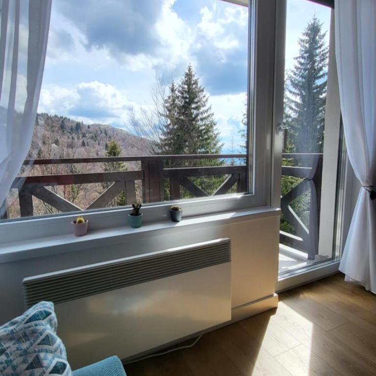 Apartman Solis Kop - One-Bedroom Apartment - 20