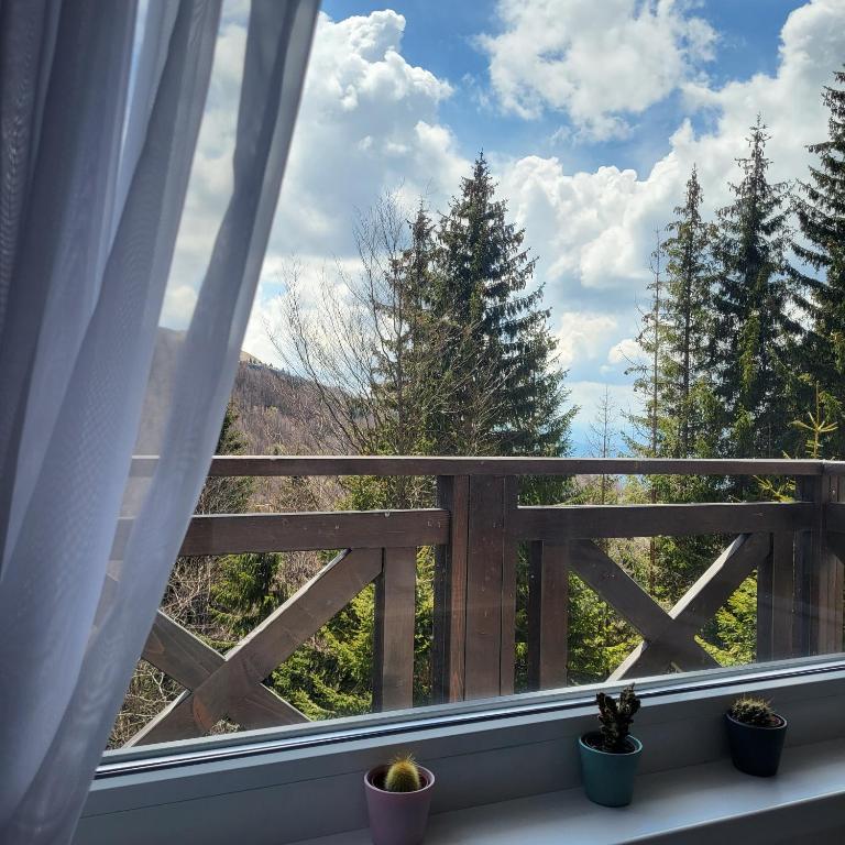 Apartman Solis Kop - One-Bedroom Apartment - 21