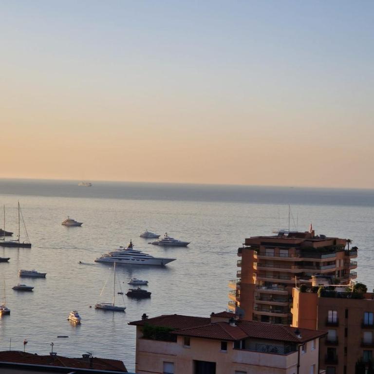 FRONTIÈRE MONACO - Appartement 1 Chambre - 30