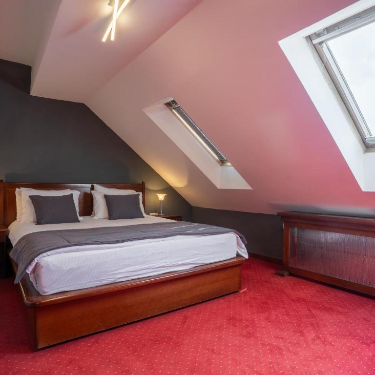 Hotel Astra - Standardna Dvokrevetna Soba sa Bračnim Krevetom - 4