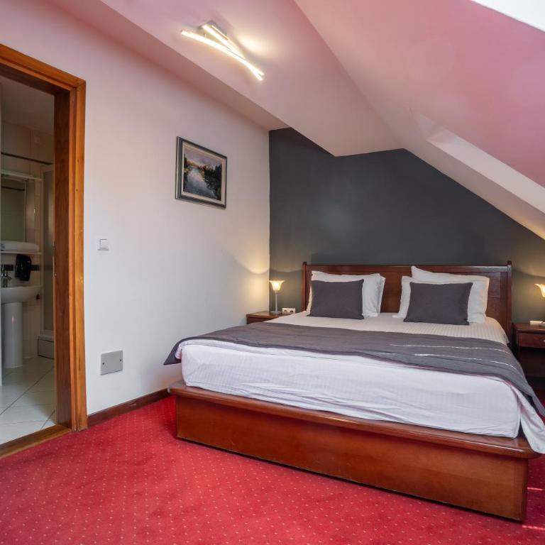 Hotel Astra - Standardna Dvokrevetna Soba sa Bračnim Krevetom - 3