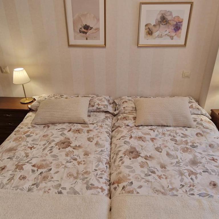 Parque Begoña - Amplio piso céntrico - VUT-4528-AS - Apartamento de 3 dormitorios - 21