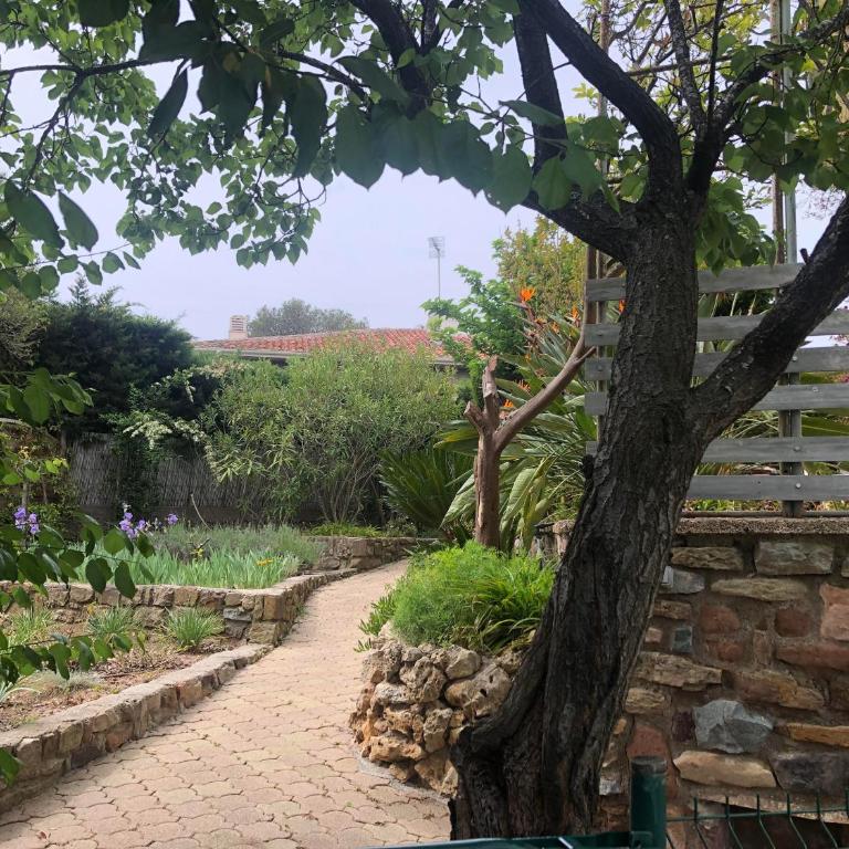 Villa Gecko - Apartment with Garden View - 11