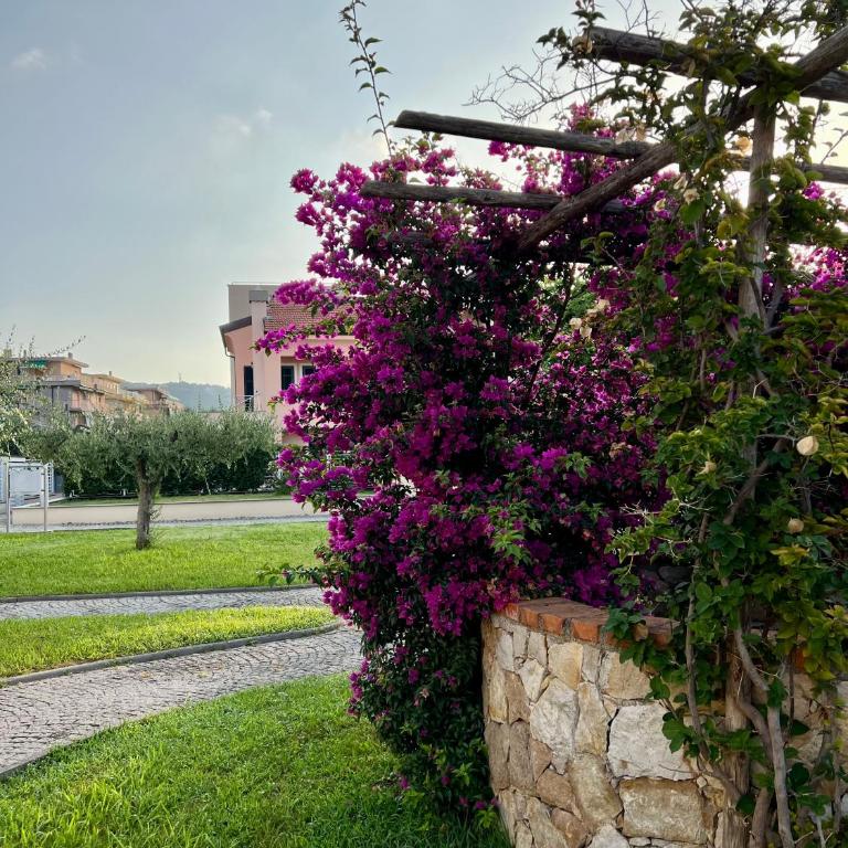 Casa Anselmo - One-Bedroom Apartment - 20