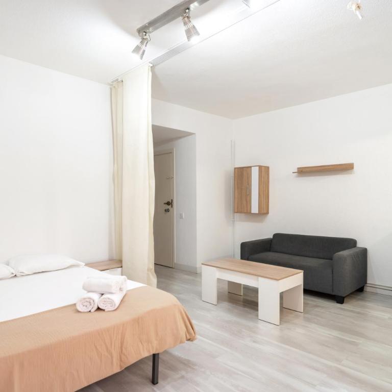 Estudios en Plaza España. Centro de Madrid - One-Bedroom Apartment - 5