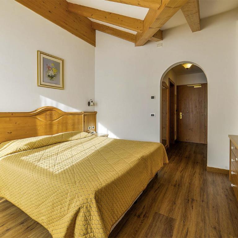 Alpenhotel Panorama - Camera Standard Matrimoniale/Doppia con Letti Singoli con Balcone - 2