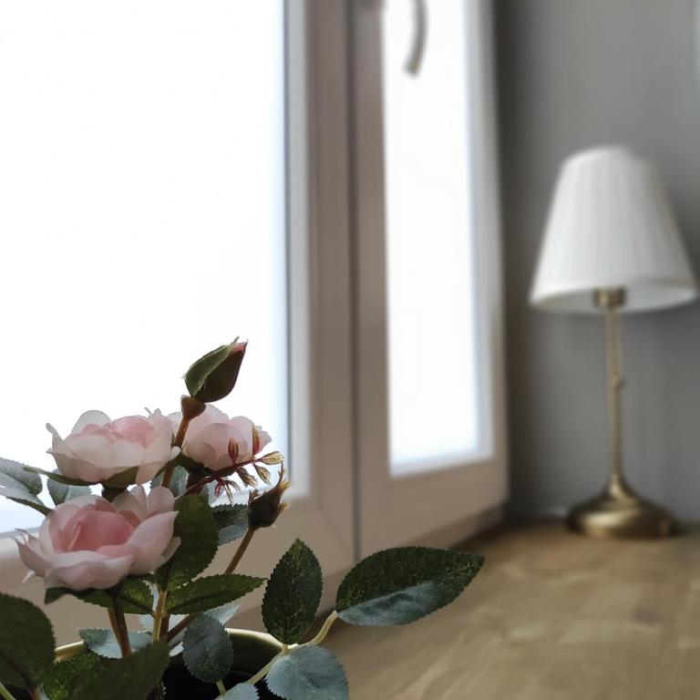 Manno Rooms Affittacamere - Camera Singola Standard - 6