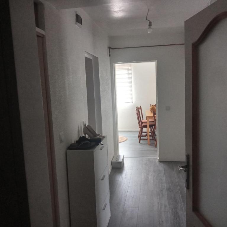 Apartman Kujovic - Apartman sa 2 Spavaće Sobe - 3