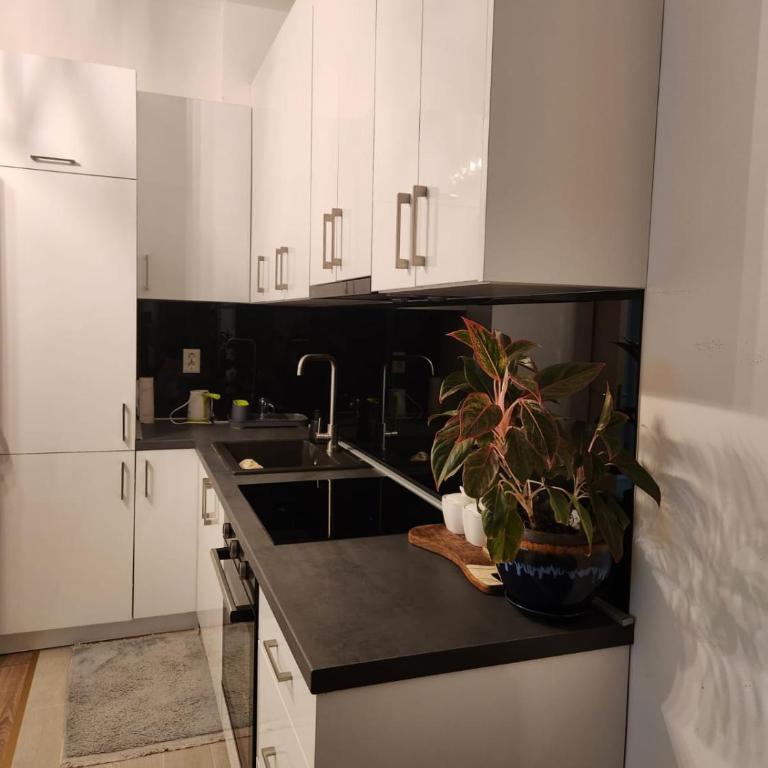 Apartment minutes away from the beach - Two-Bedroom Apartment - 41