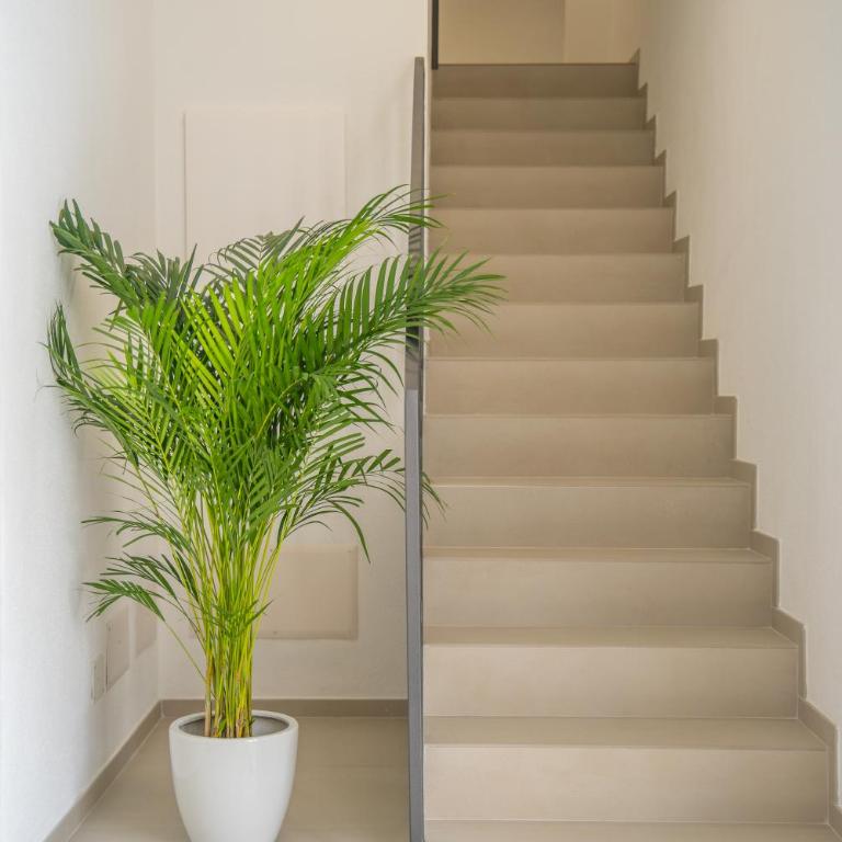 Nuova -Luxury Rooms & Apartment- - Appartamento con Vista Piscina - 17