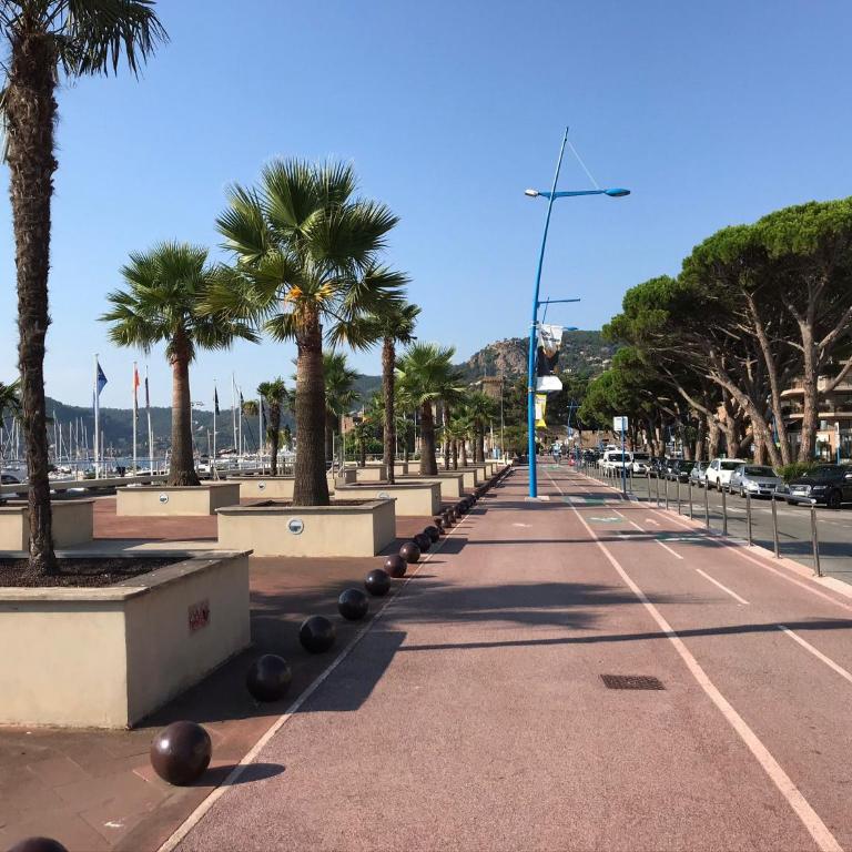 Le Mas provençal de Cannes Studio avec jardin plage et centre à pied - Studio - 28