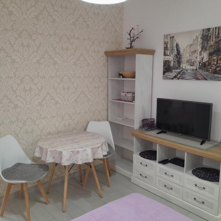 Apartments Aleksić - Studio sa Terasom - 4