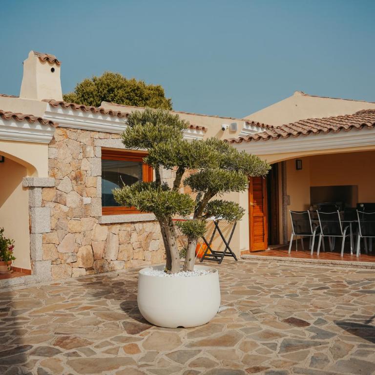 Villa Alba Sul Mare - Villa - 10