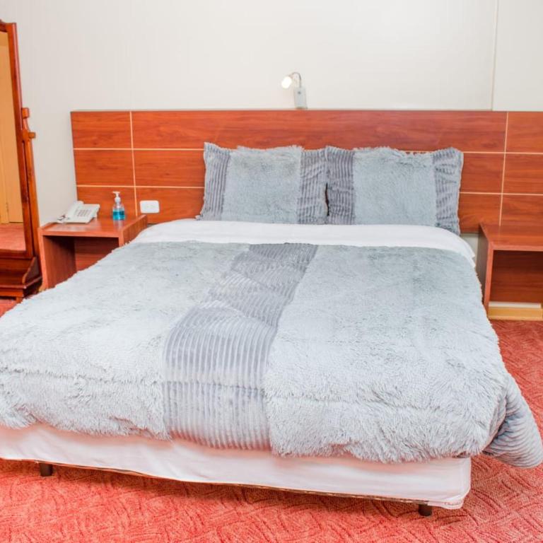 HOTEL FLOR DE LOS ANDES - Suite Junior - 1