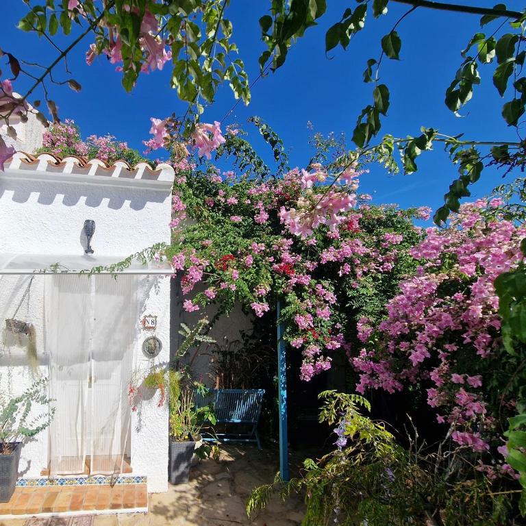 Villa Aurica - Casa de 3 dormitorios - 4