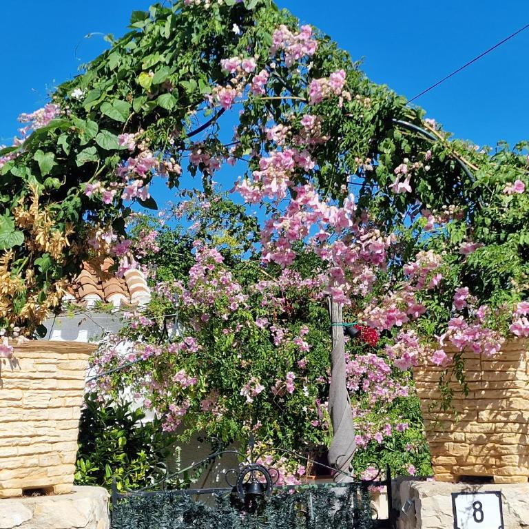 Villa Aurica - Casa de 3 dormitorios - 3