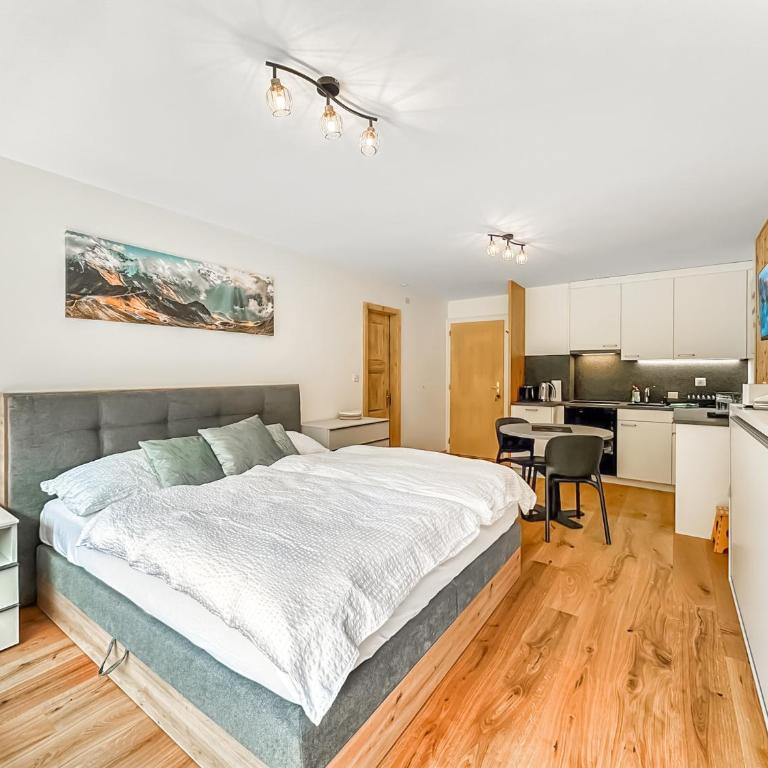 Pied de piste de Thyon - 4 Vallees - Studio - 1