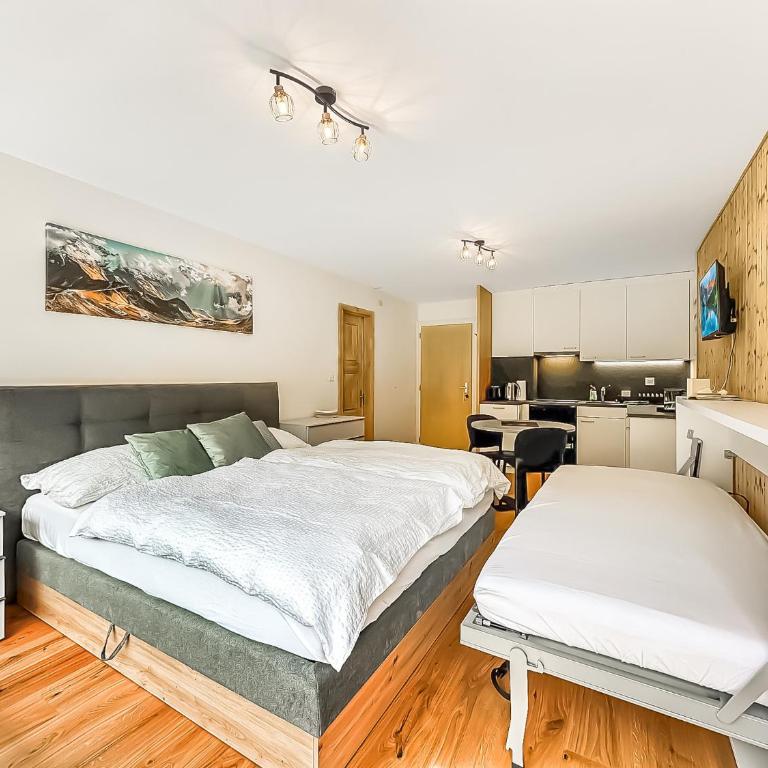 Pied de piste de Thyon - 4 Vallees - Studio - 9
