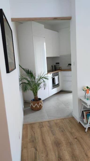 appartement perpignan - Apartment mit 1 Schlafzimmer - 19
