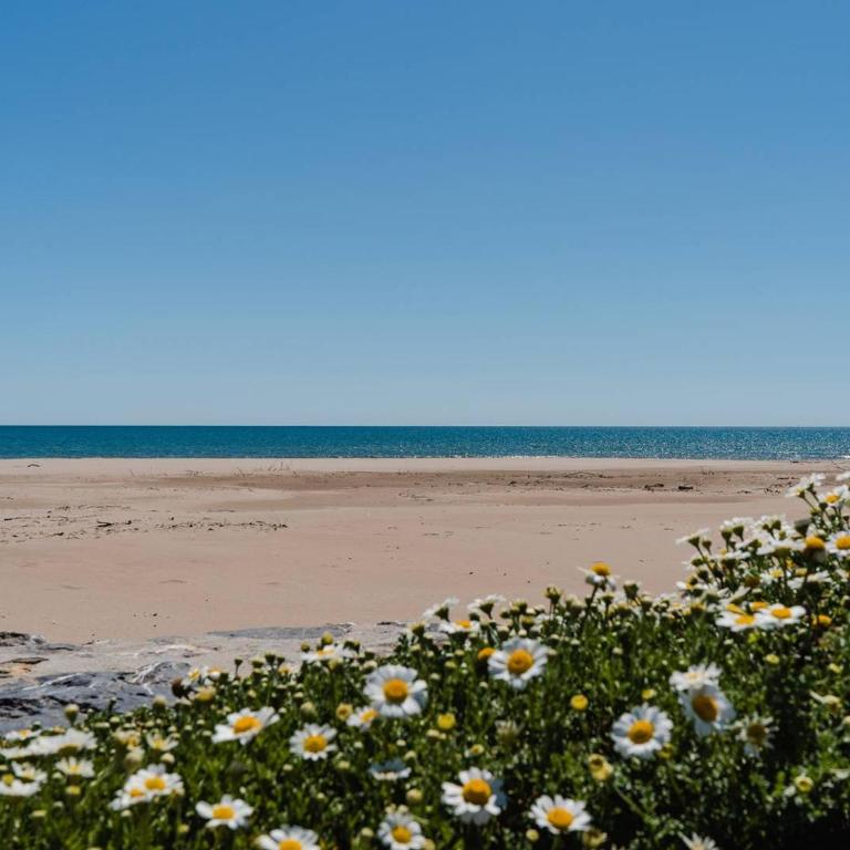 Appartement T2 à Narbonne-Plage - 30m de la plage, balcon, 4 couchages, parking gratuit - FR-1-409A-27 - Apartment - 8