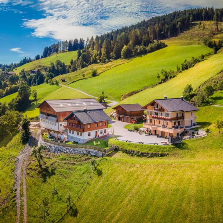 Bauernhaus Bichl - Ferienhaus - 1