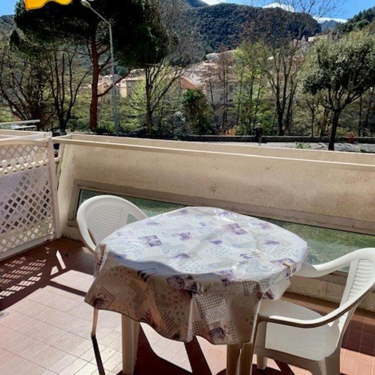 Appartement F2 avec terrasse, parking, ascenseur et WIFI - Animaux acceptés - Amélie-les-Bains - Appartement 1 Chambre - 2