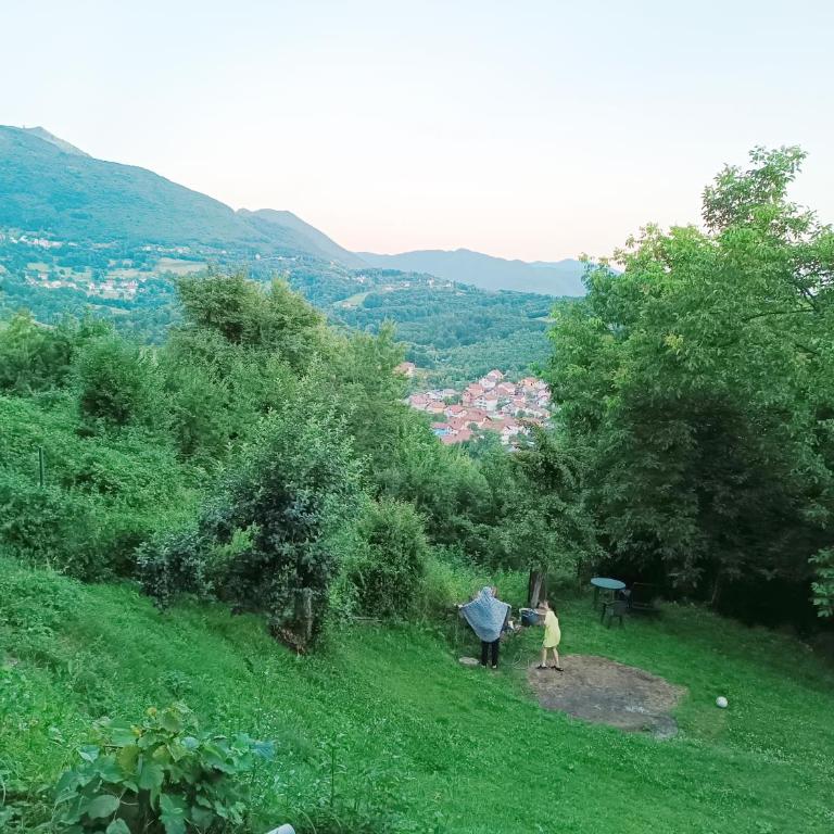 Sunnyhill - Two-Bedroom Apartment - 2